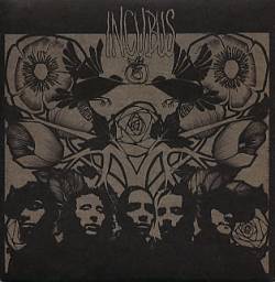 Incubus : Warning (Live)